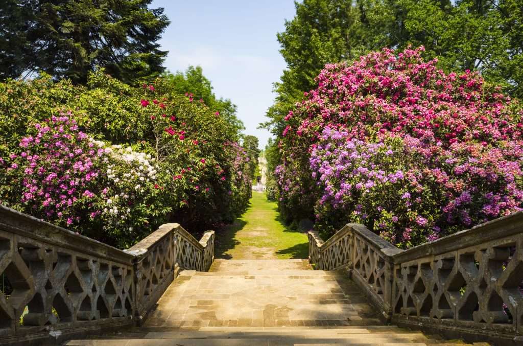Engeland Hever Garden 161210963
