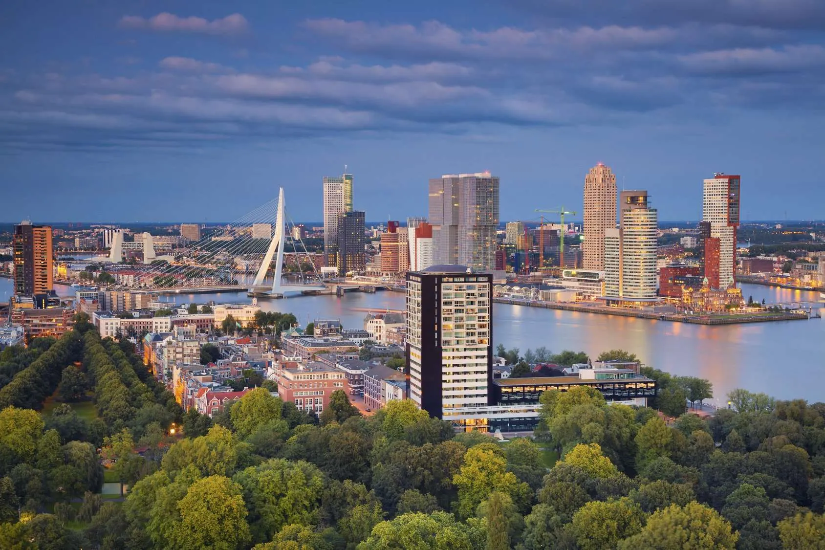 Nederland Rotterdam skyline met erasmusbrug