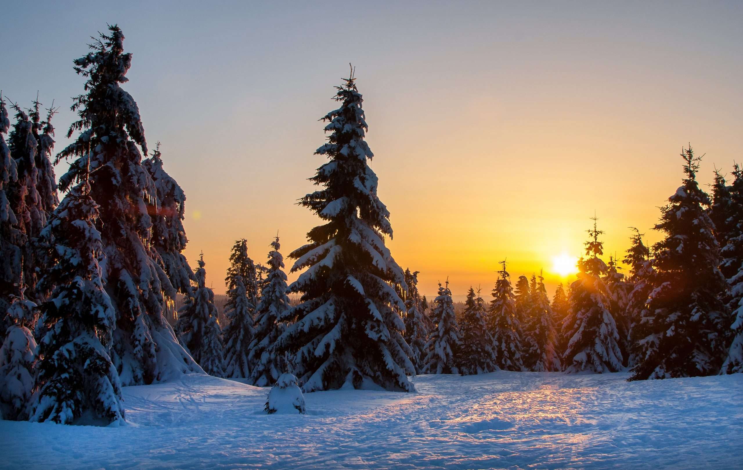 Duitsland Harz winterzon in bos scaled